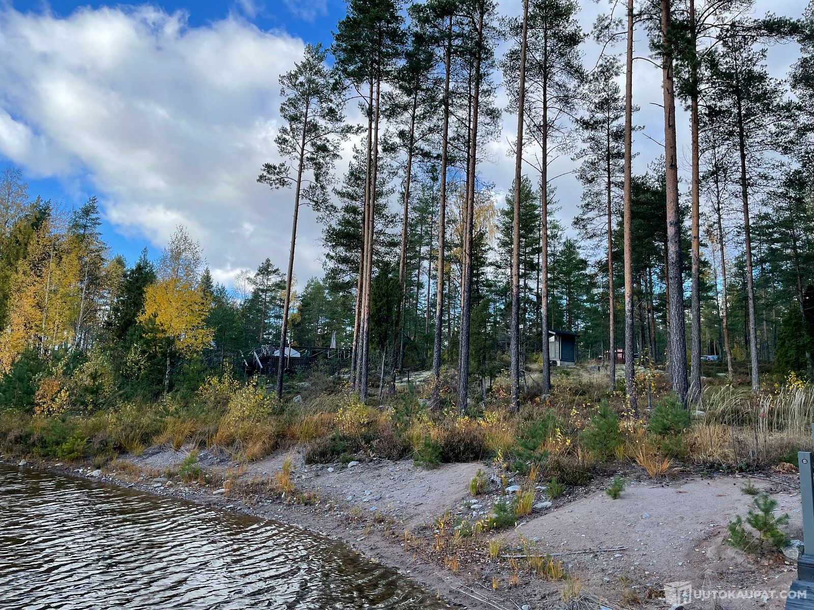 Ulosmitattu vapaa-ajan kiinteistö jossa oma lampi Halikko, Salo / Utmätt  fritidsfastighet med egen damm i Halikko, Salo 