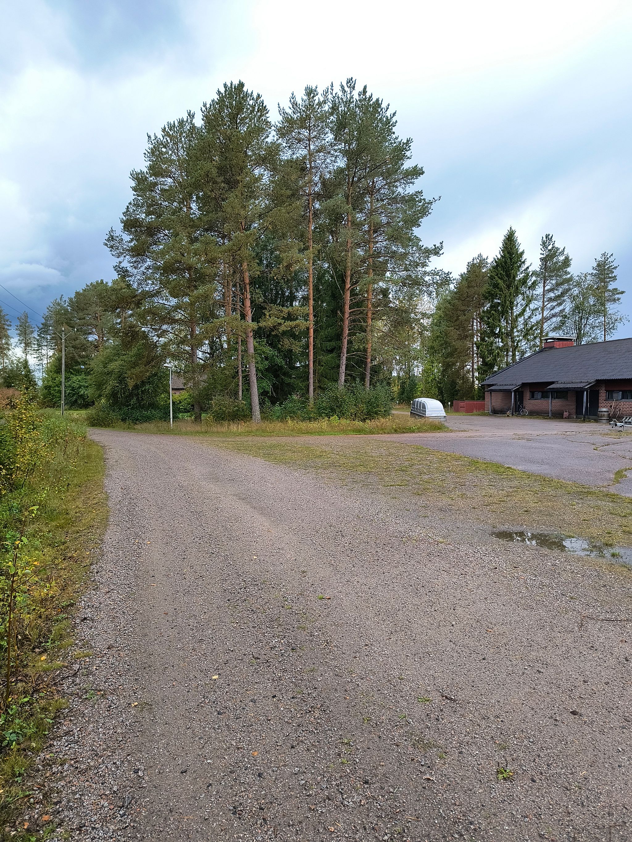 Image 54/64