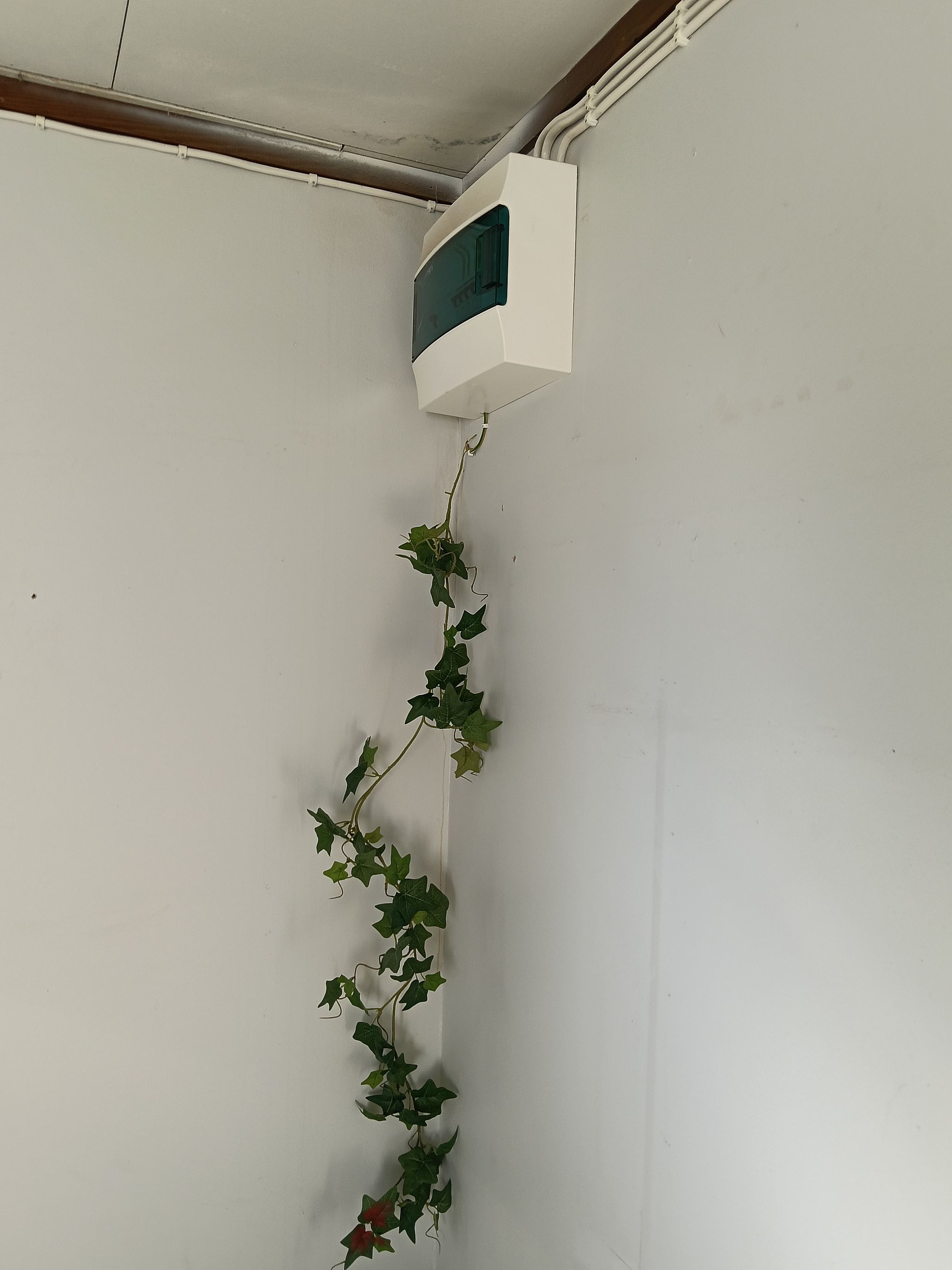 Image 9/21