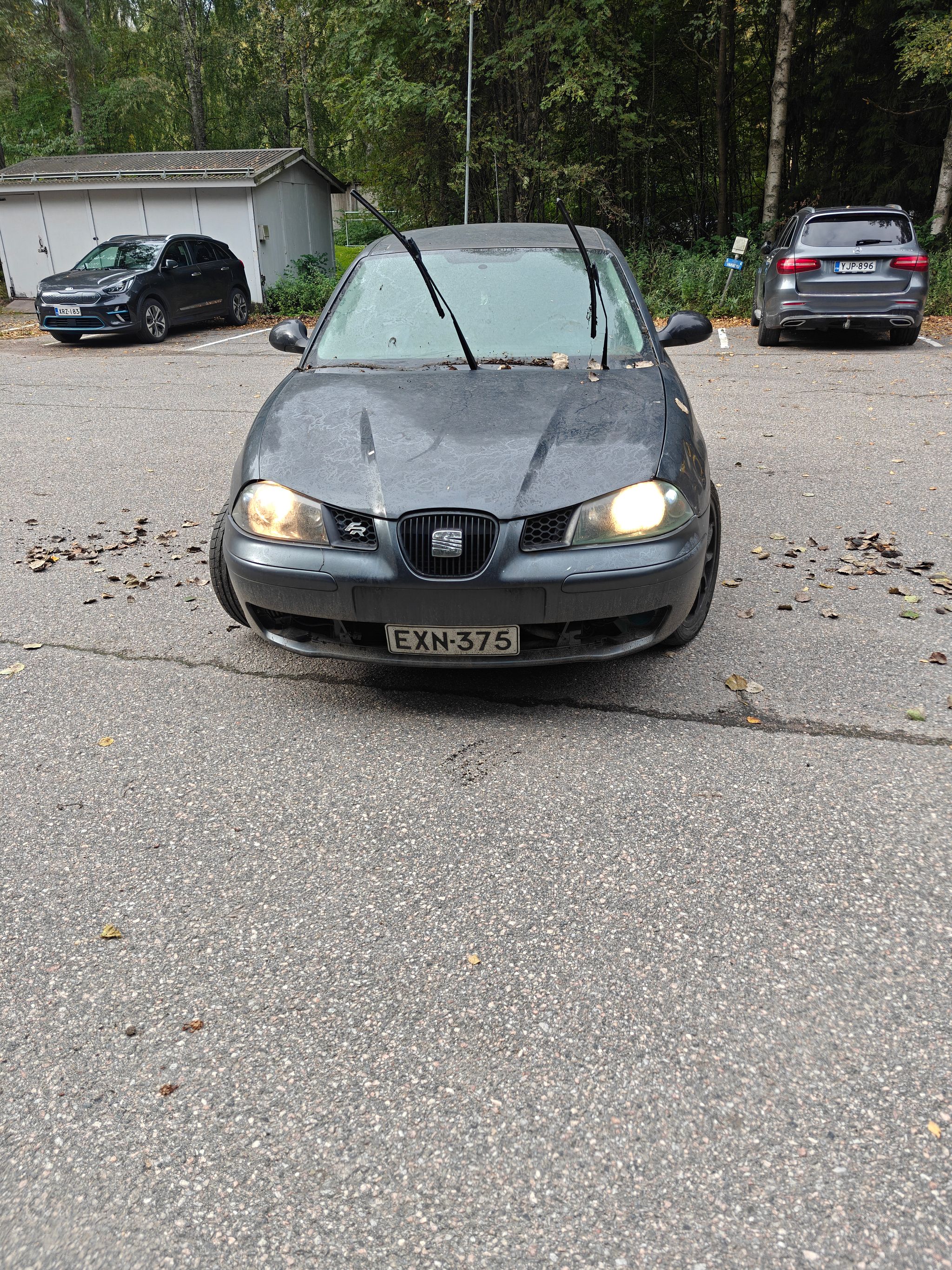 Image 1/11