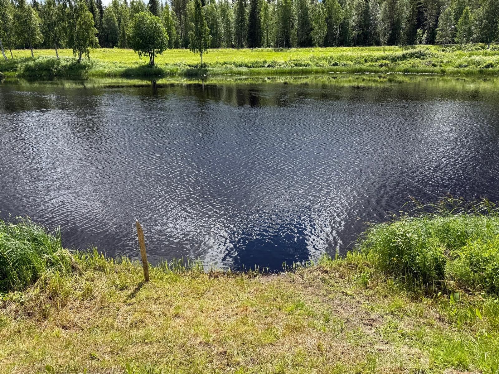 Image 3/31