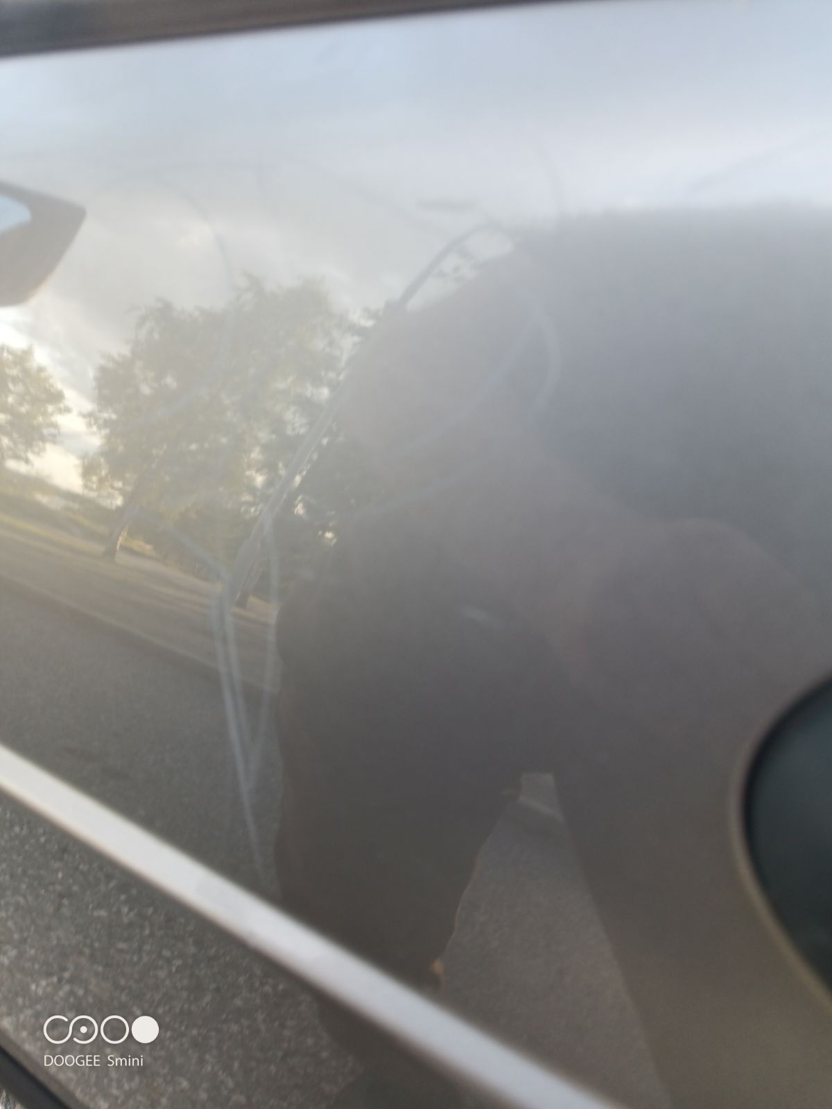 Image 6/10