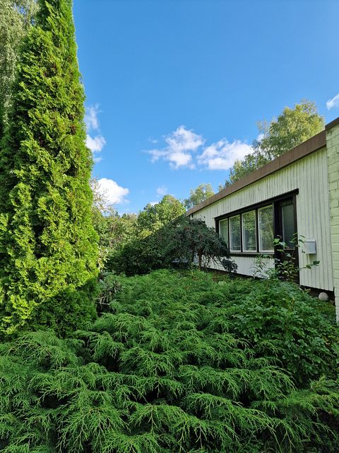 Image 9/35