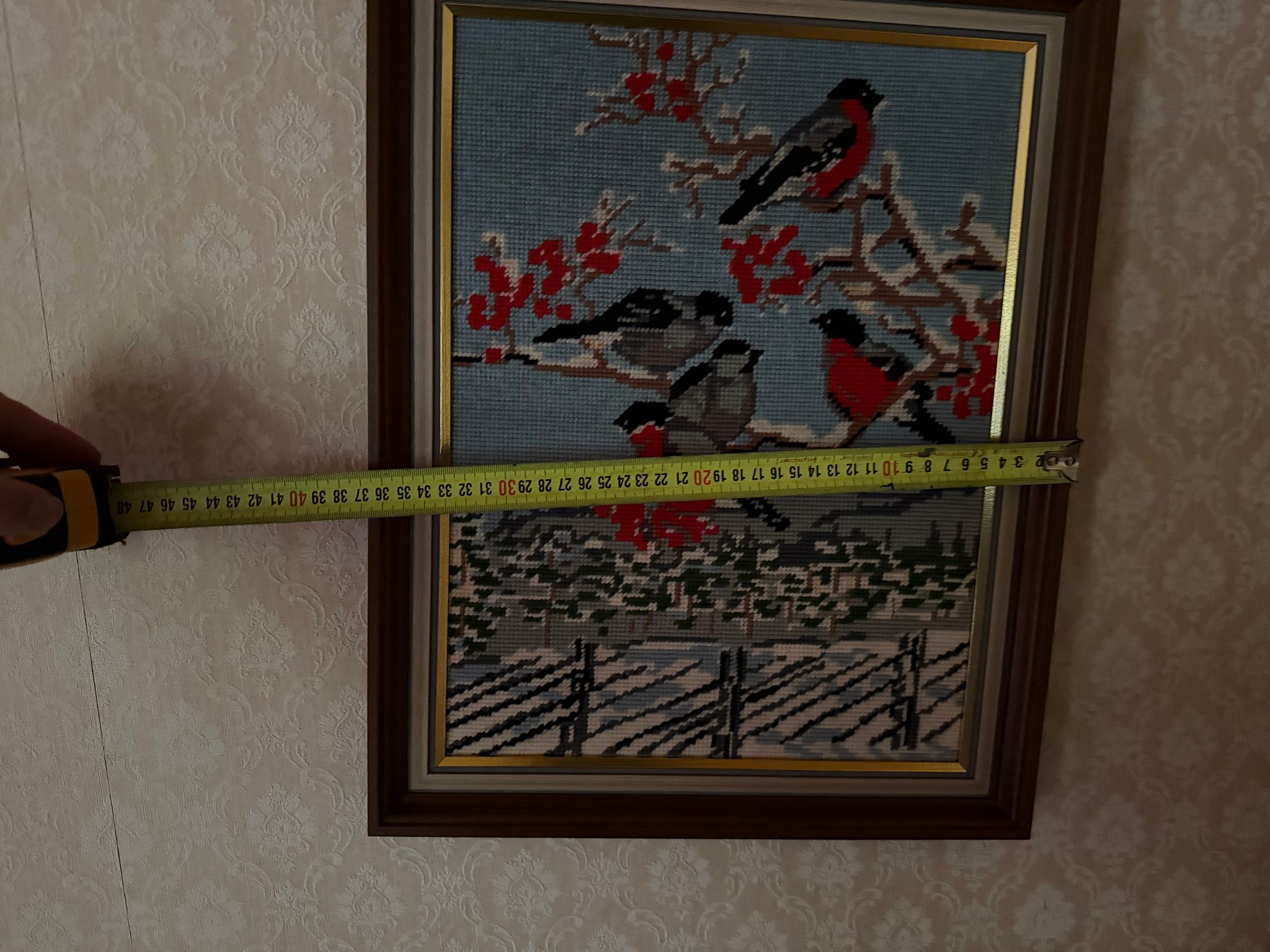 Image 12/41