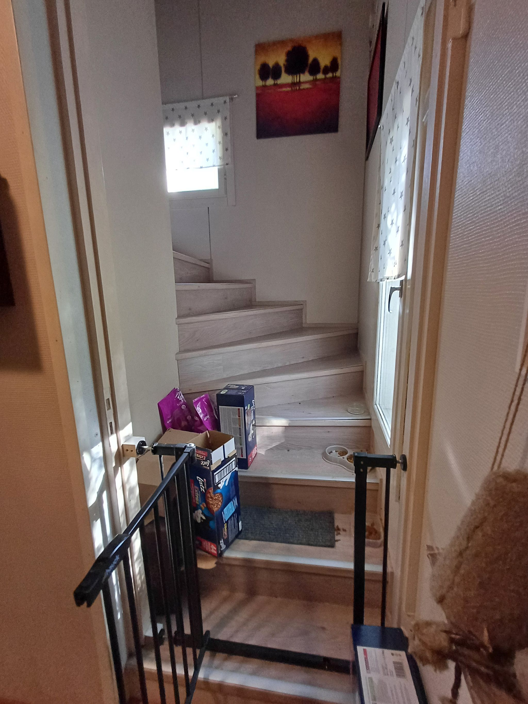 Image 5/9