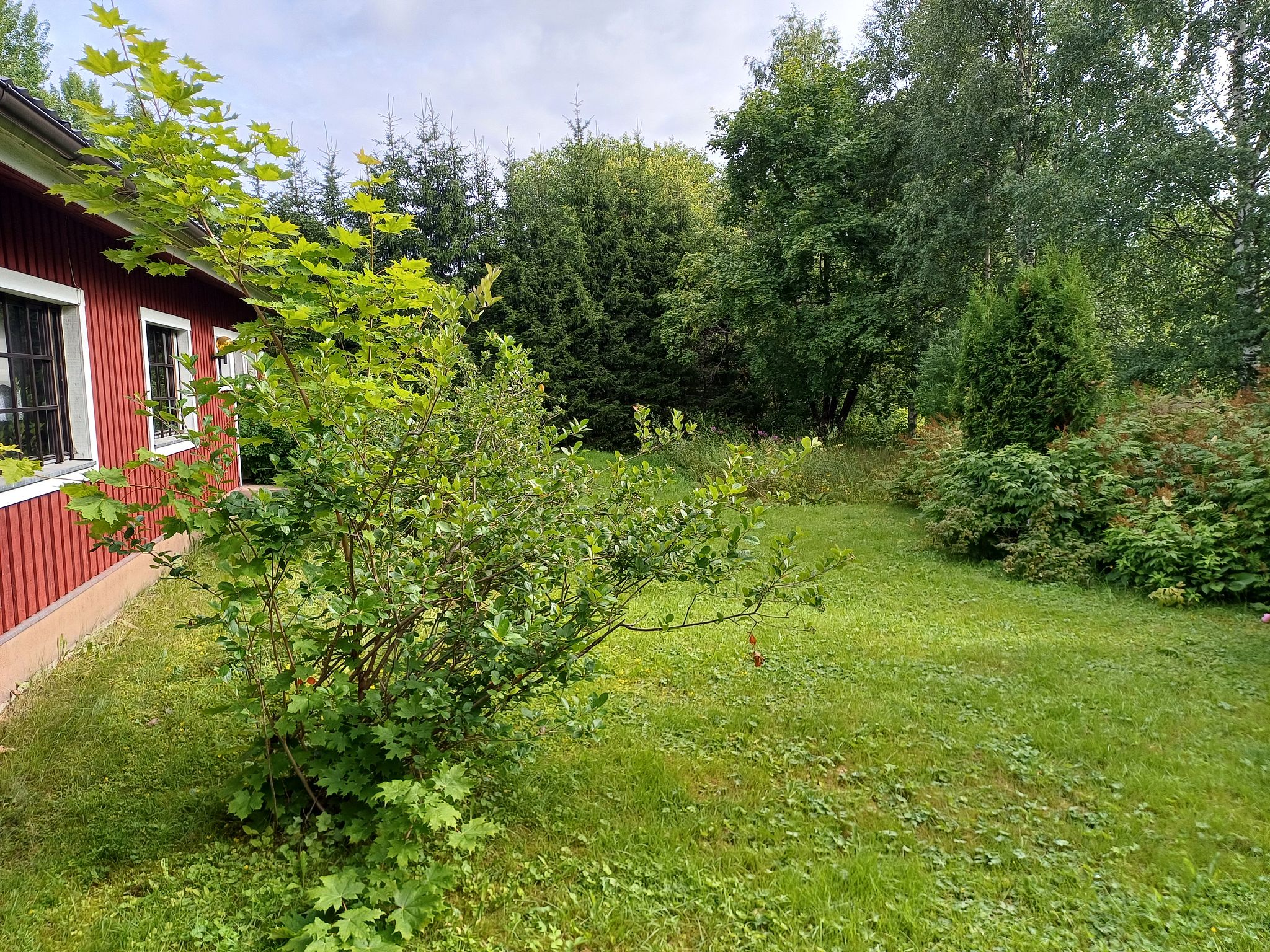 Image 9/44