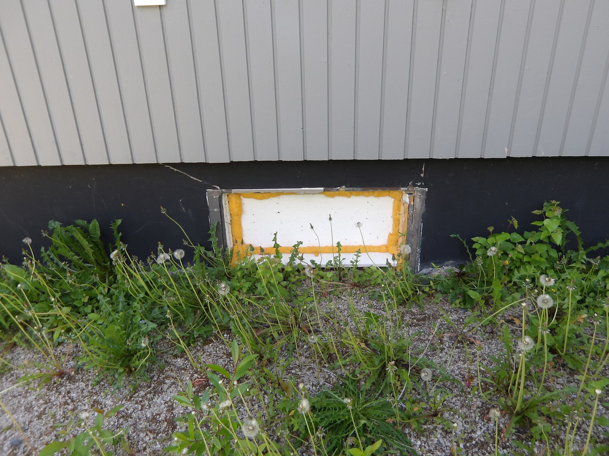 Image 8/31