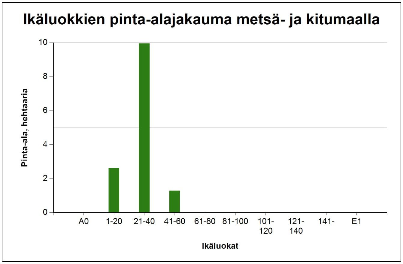 Kuva 8/10