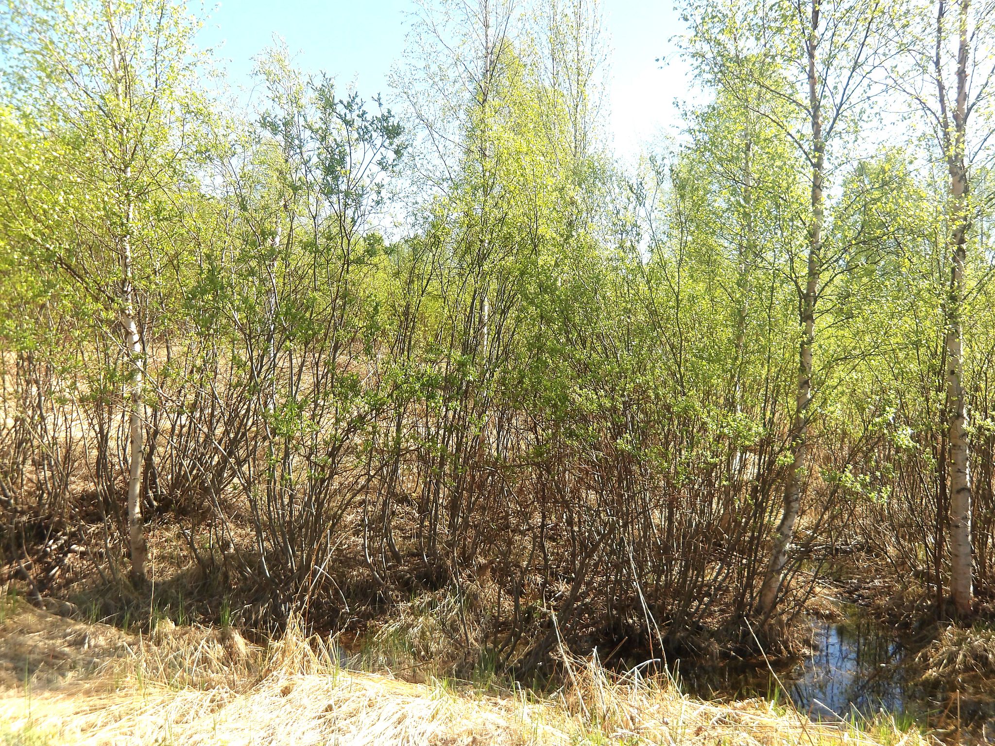 Image 2/5