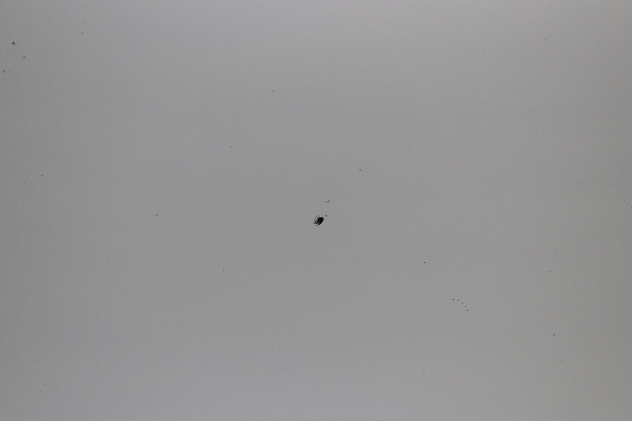 Image 23/49