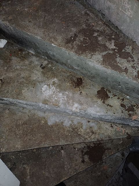 Kuva 37/89