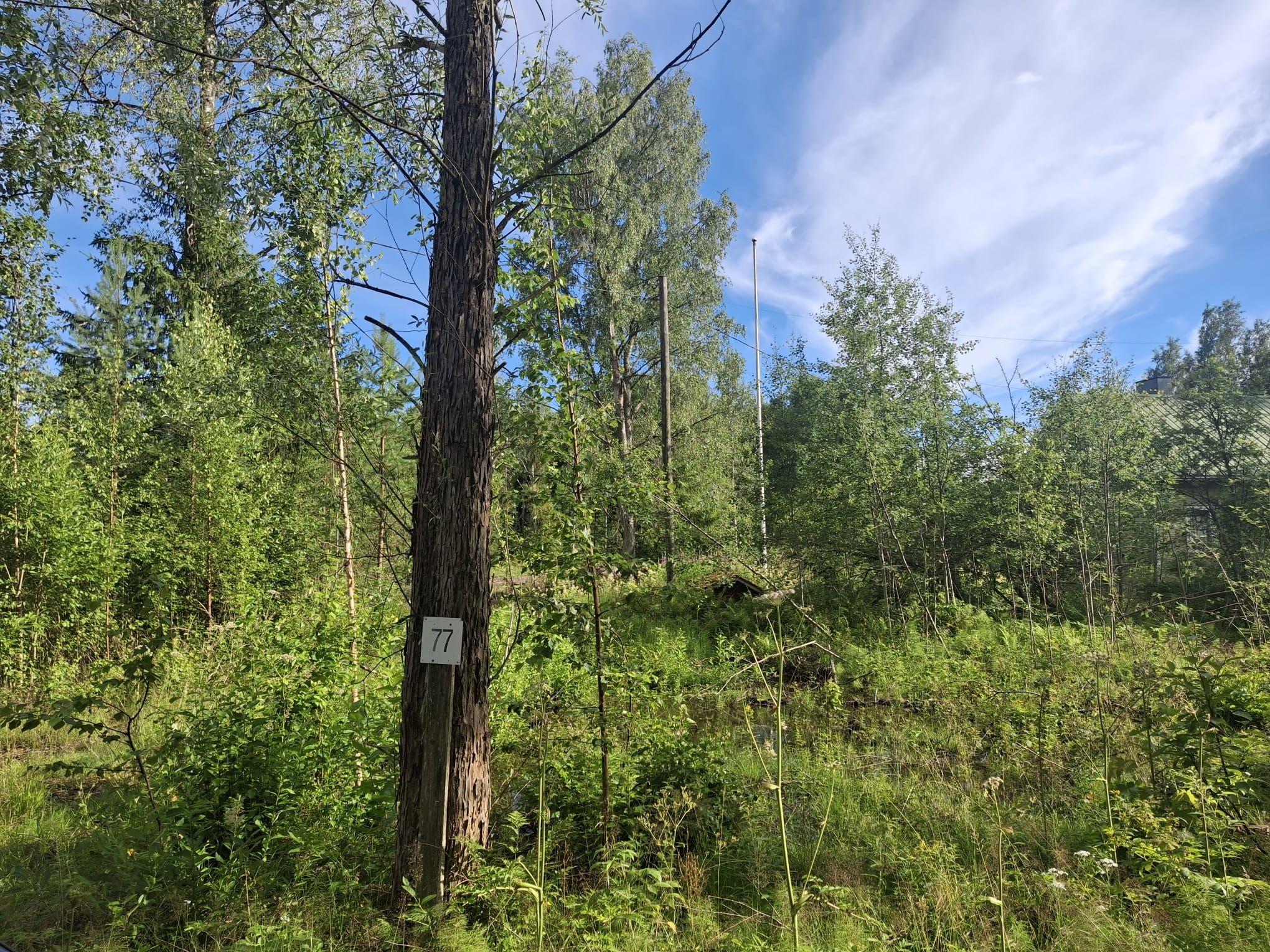 Image 5/23