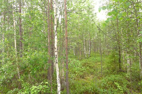 Image 19/21