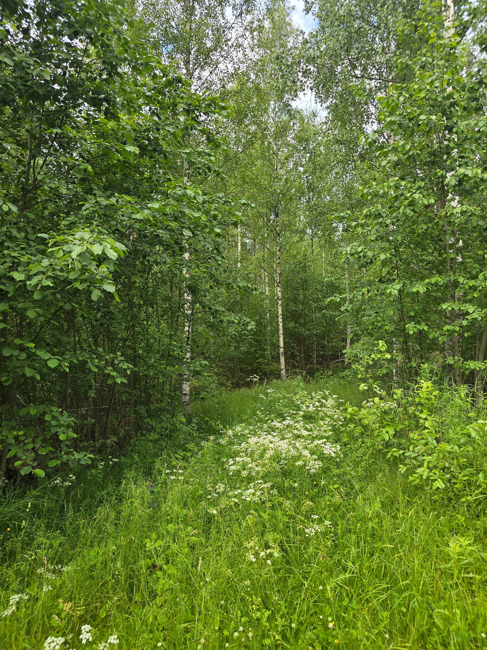 Image 14/20