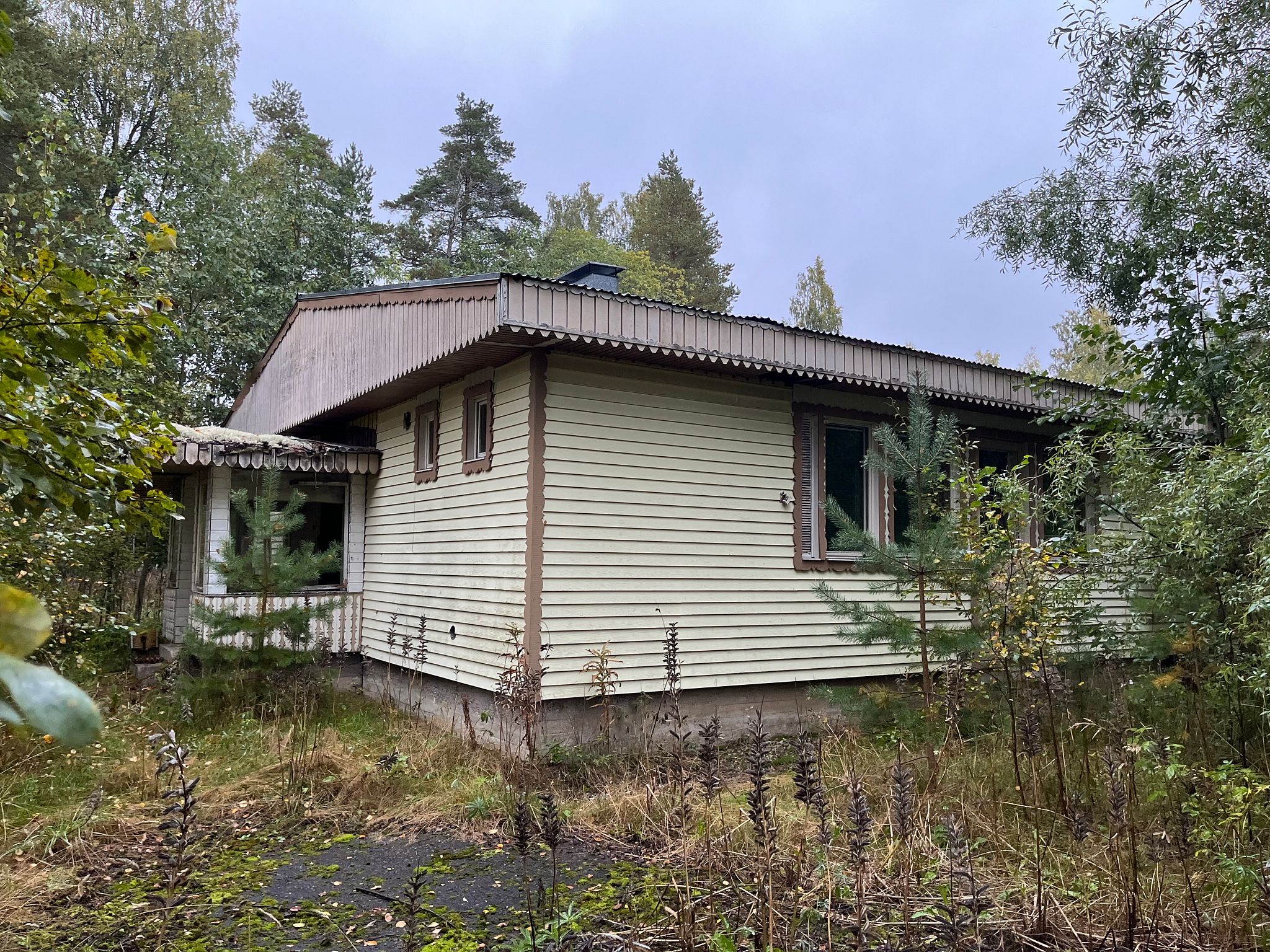 Image 1/19