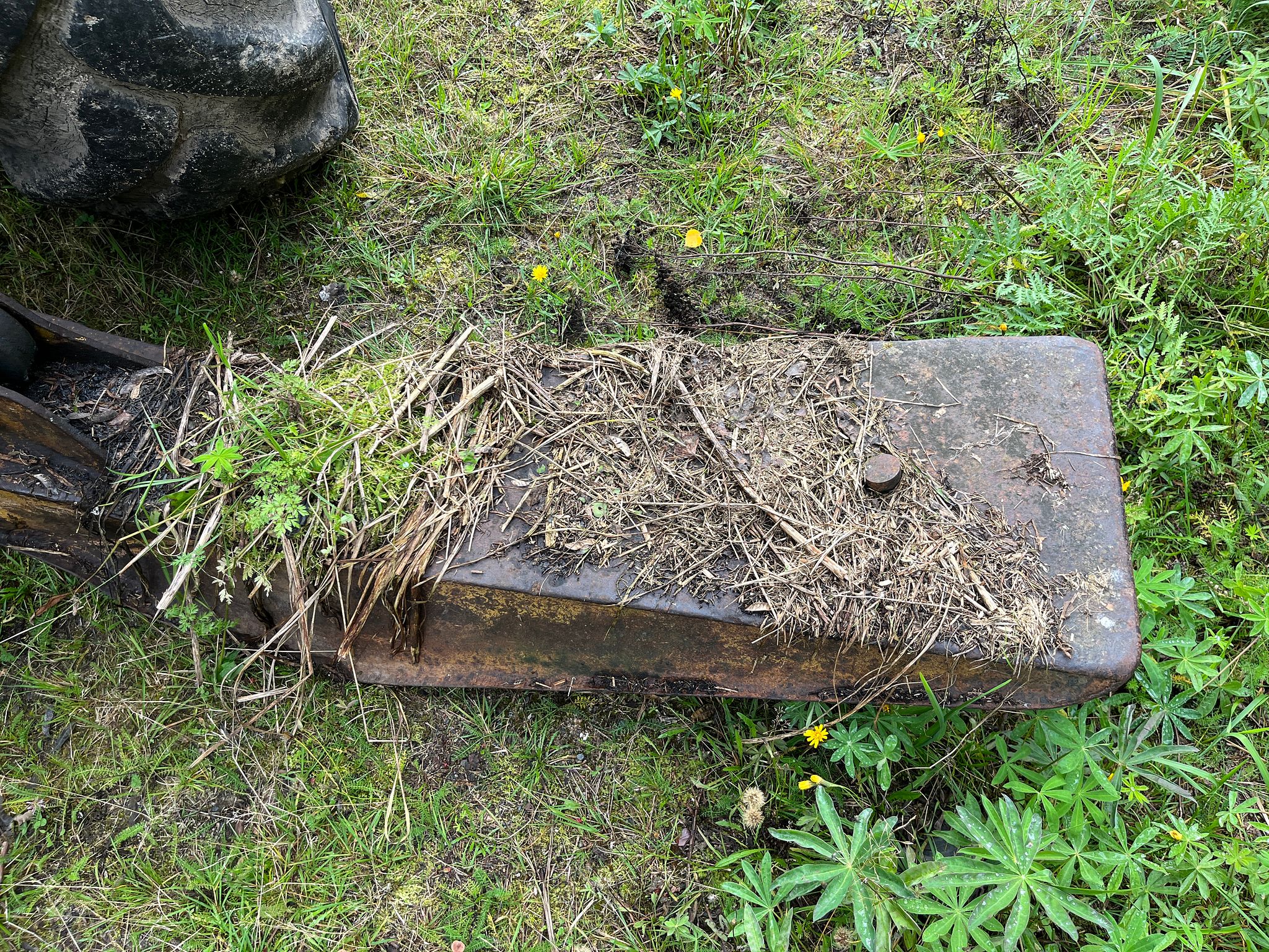 Image 9/29