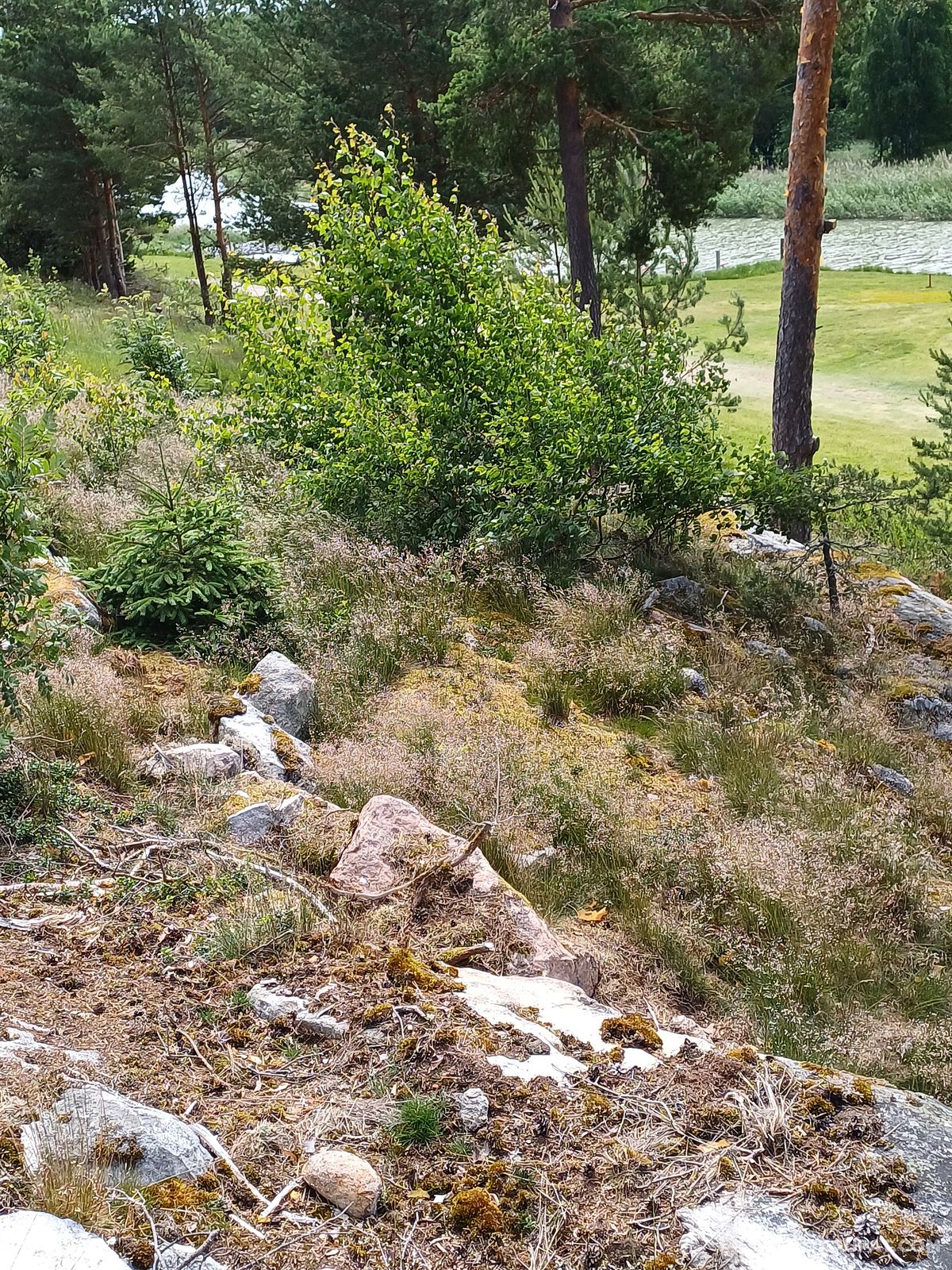 ulosmitattu-rakentamaton-kiinteist-naantalissa-utm-tt-obebyggd