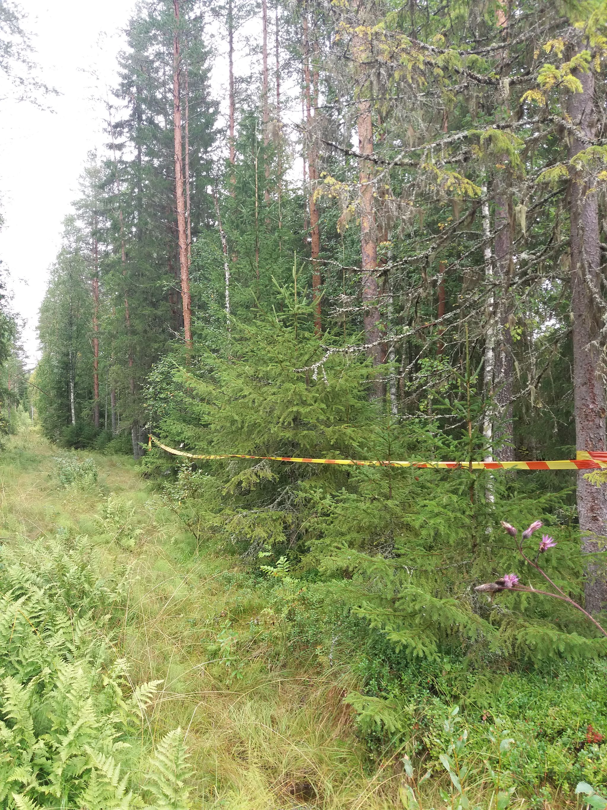 Image 8/21