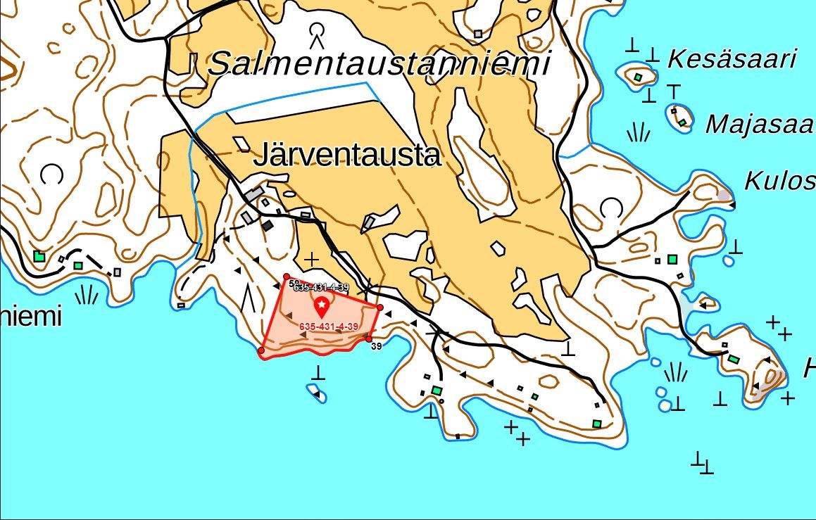Image 4/4