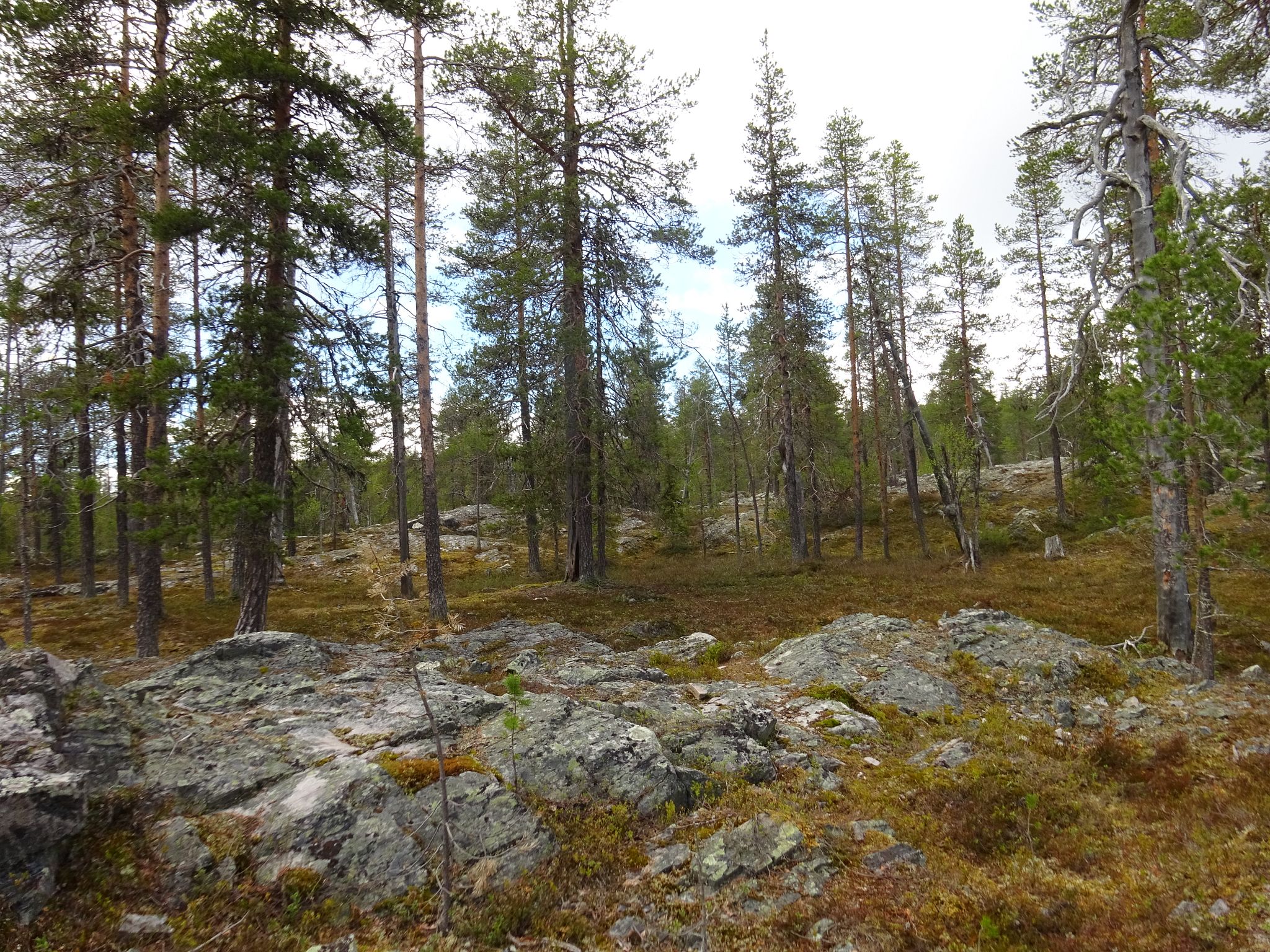 Image 6/17