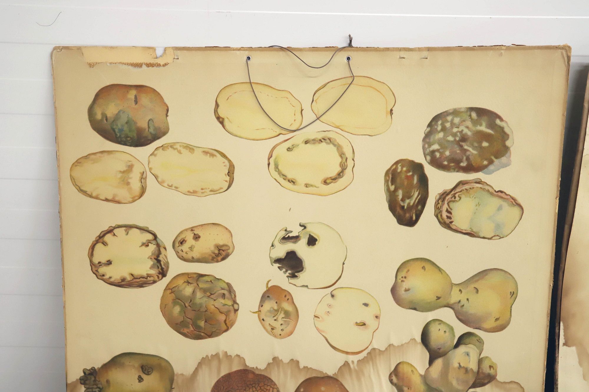 Image 20/23