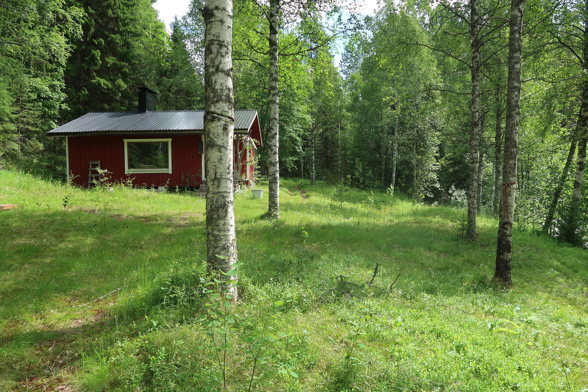 Image 12/25