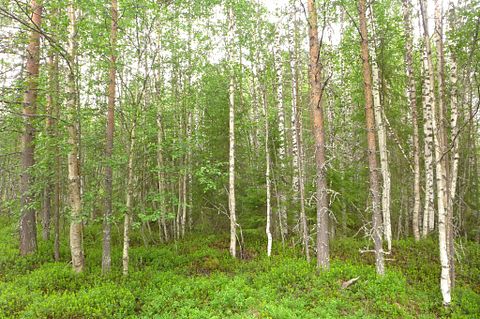 Image 7/21