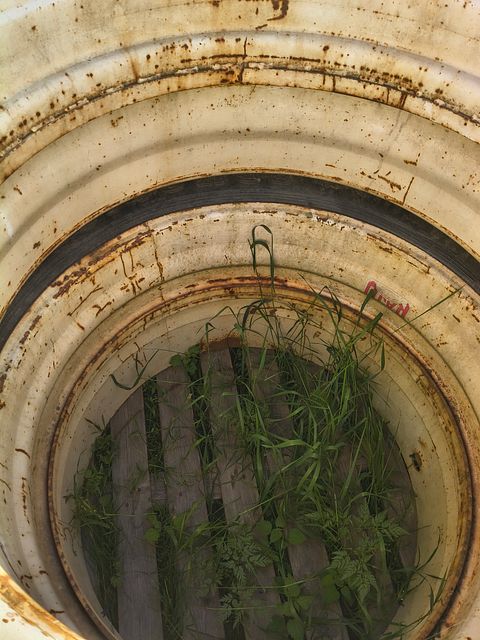 Image 3/3