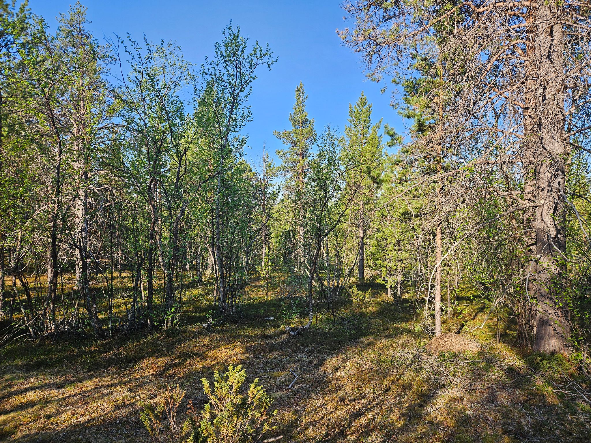 Image 13/13