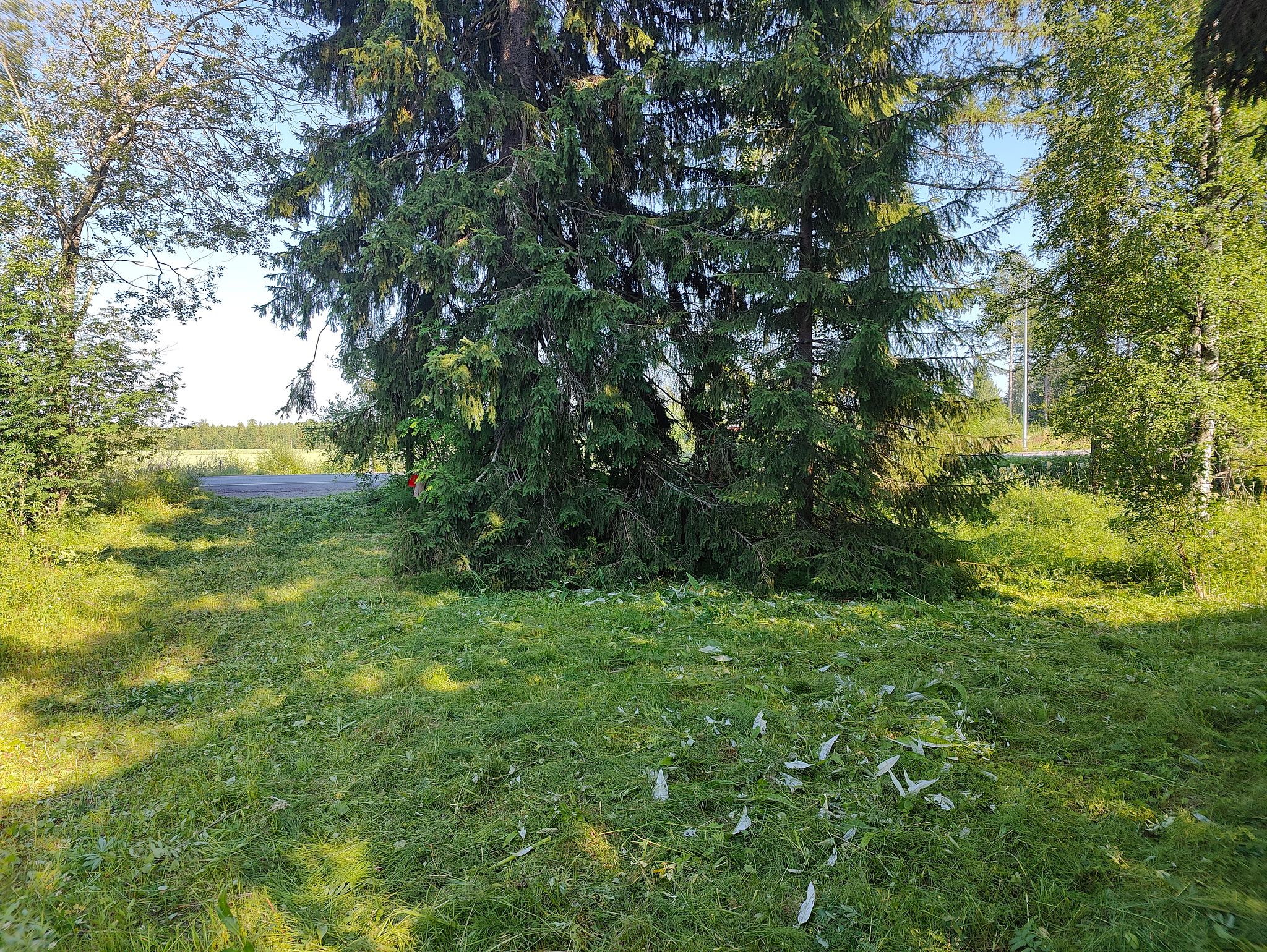Image 8/30