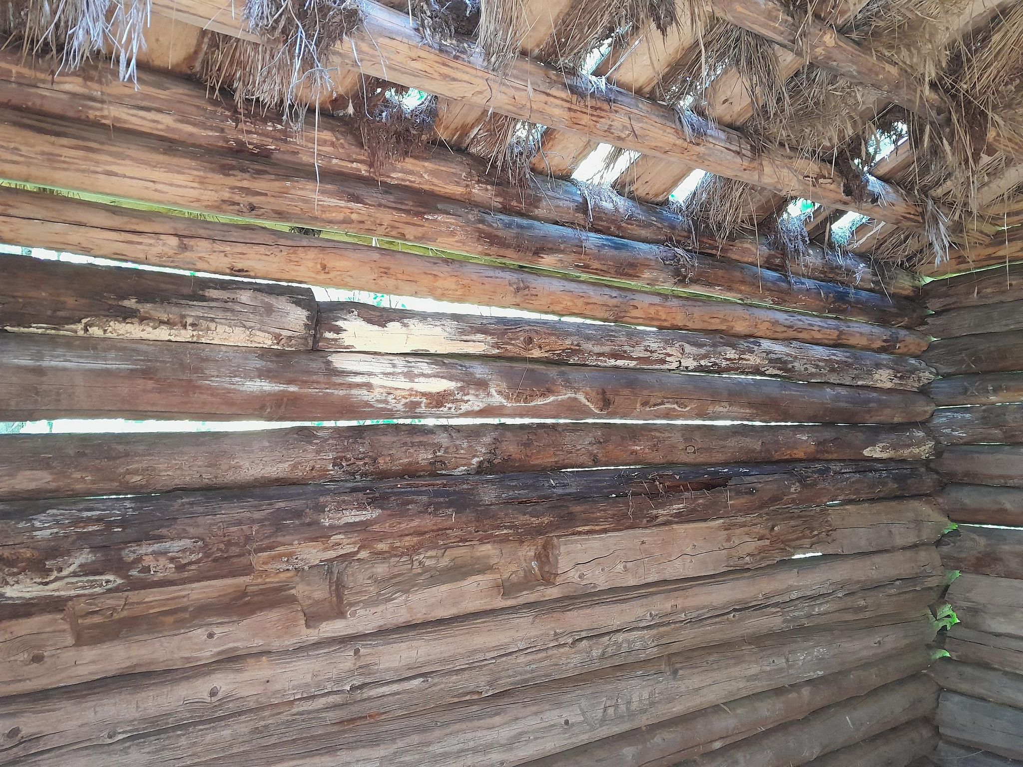 Image 7/8