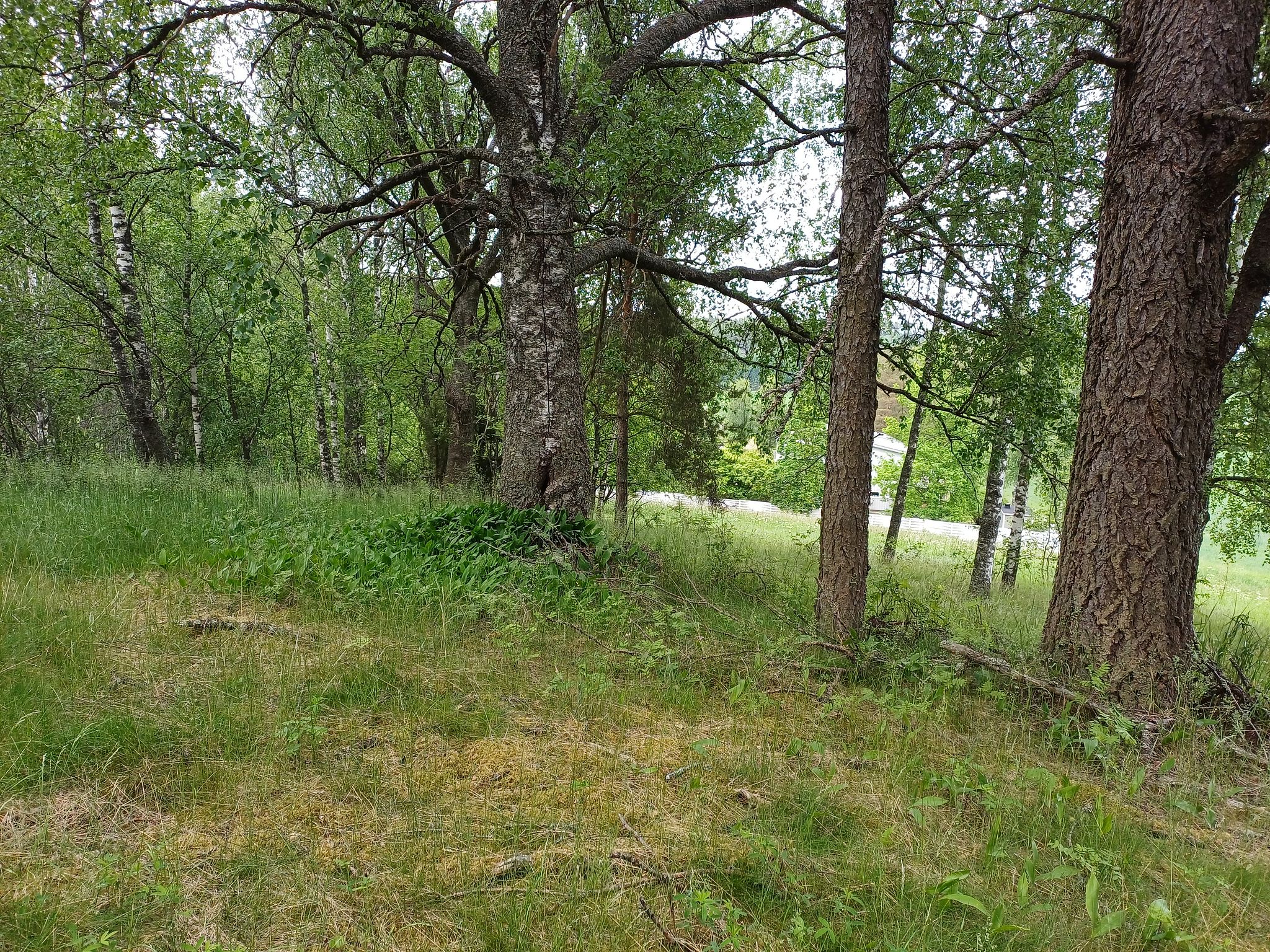Image 10/12