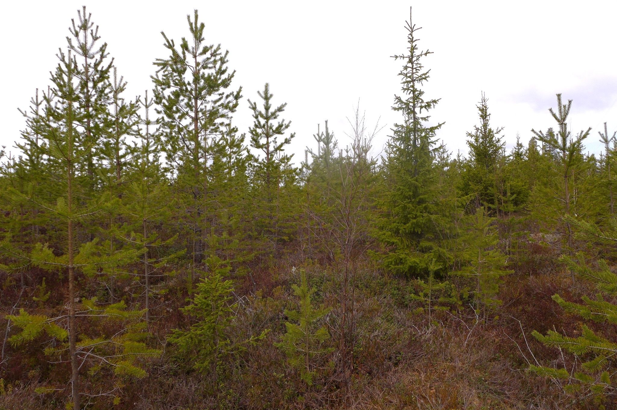Image 8/24