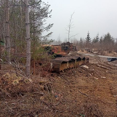 Image 3/11