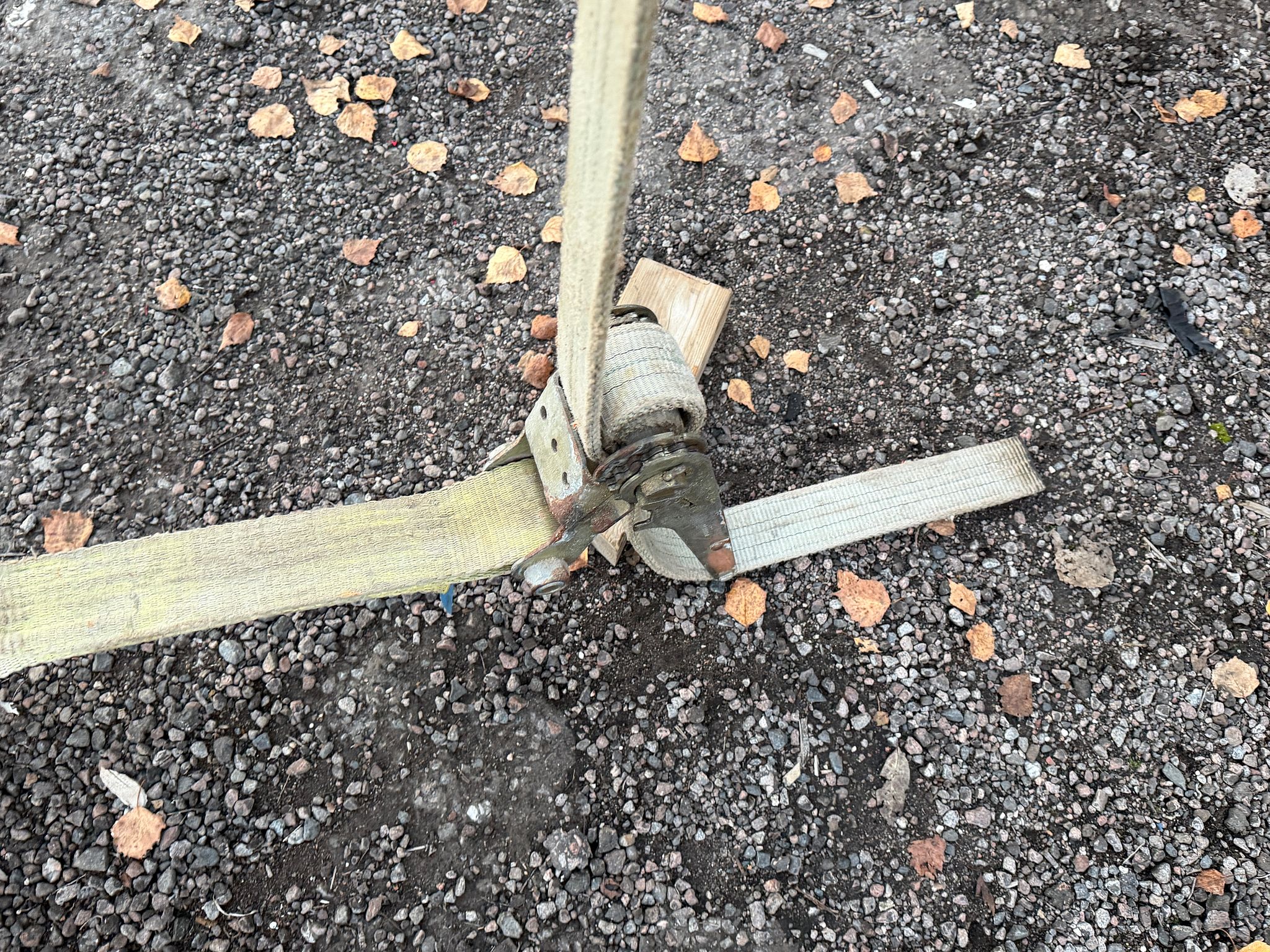 Image 11/22