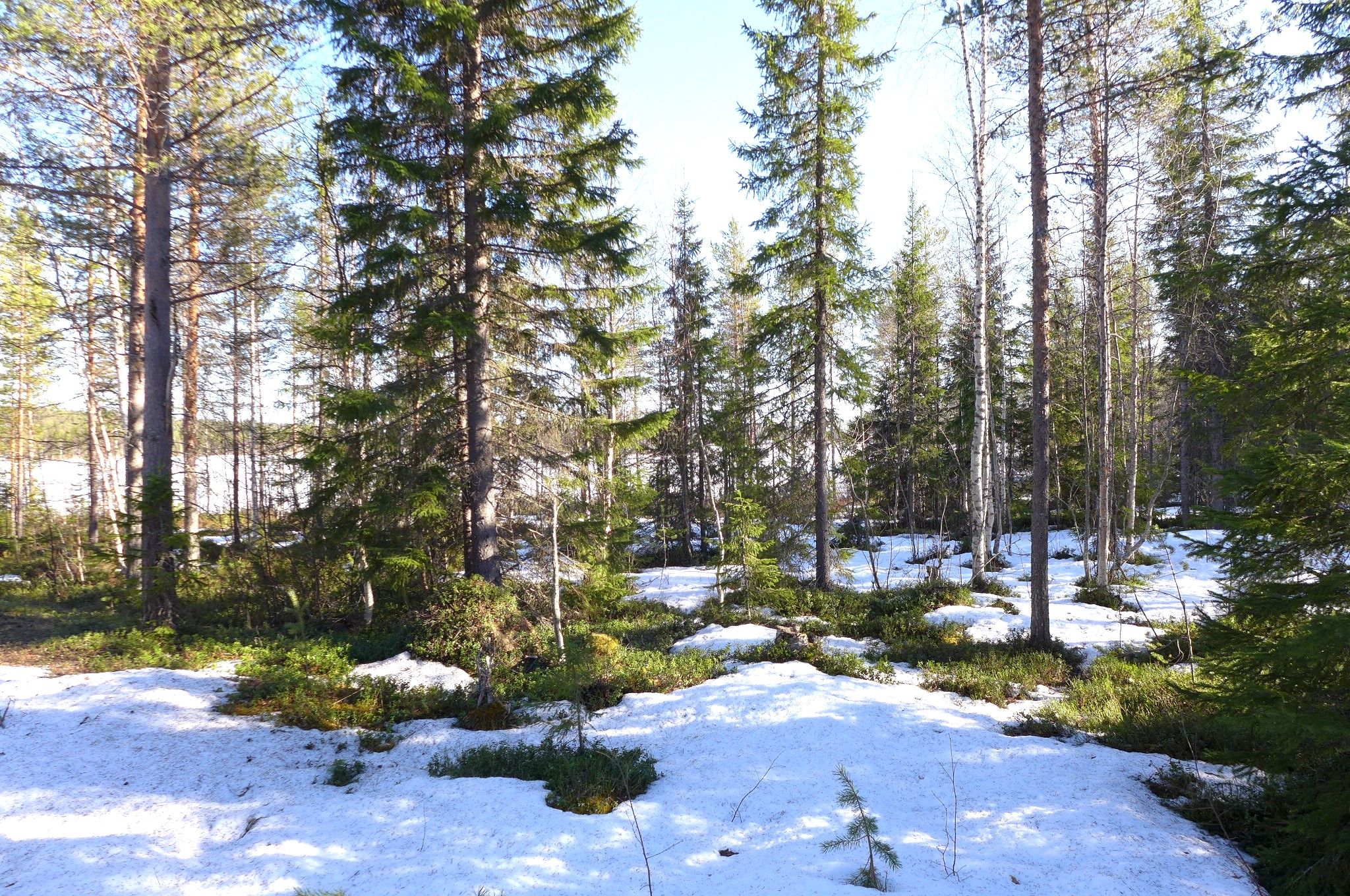 Image 19/29