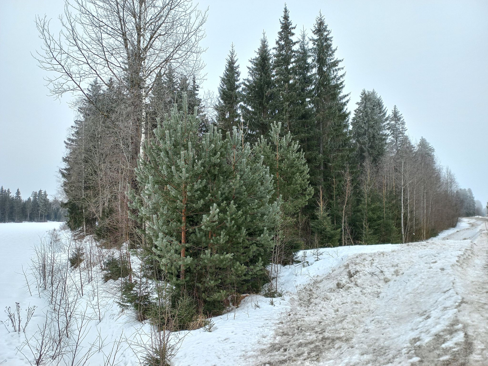 Image 39/57