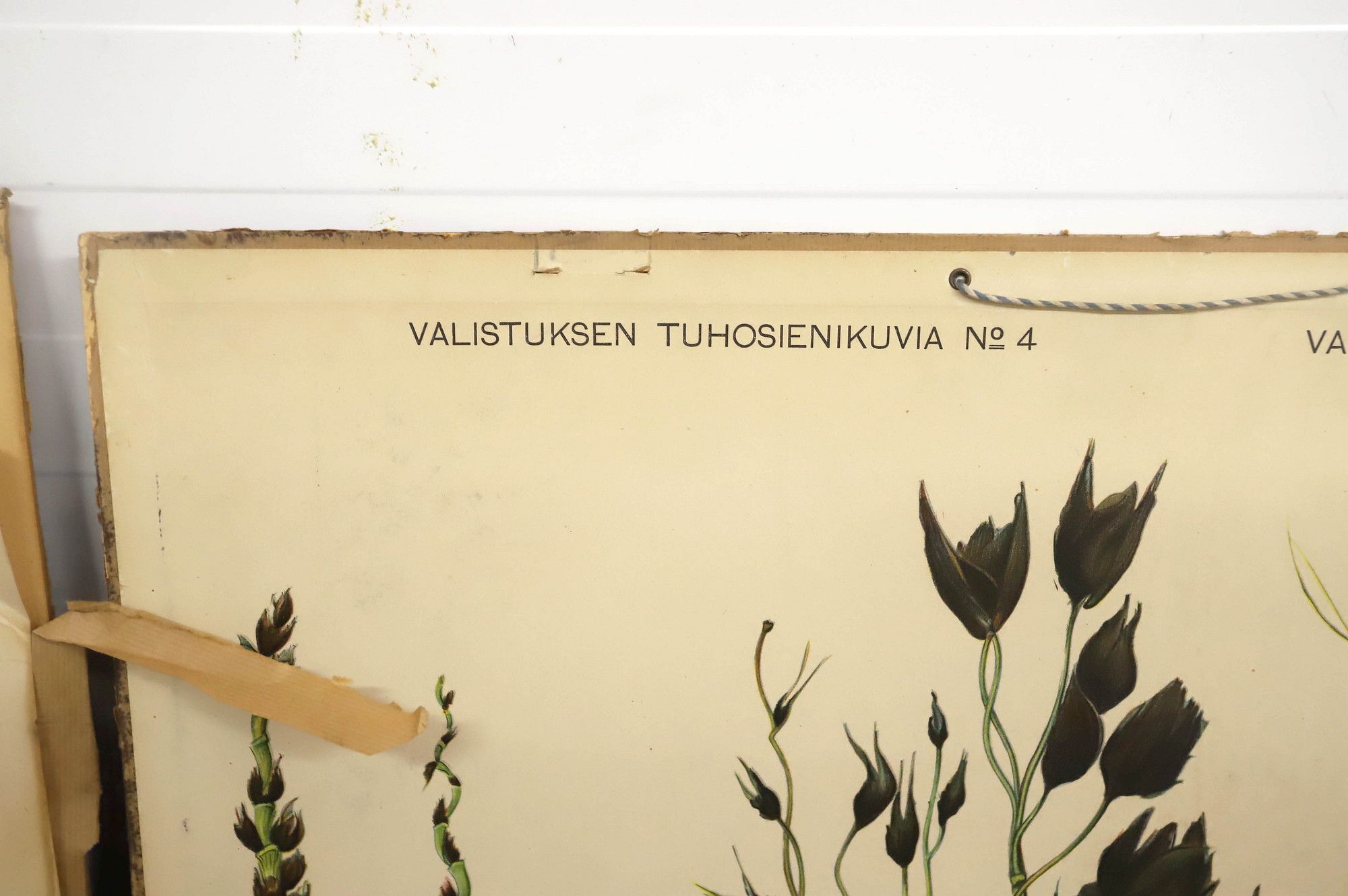 Image 8/23