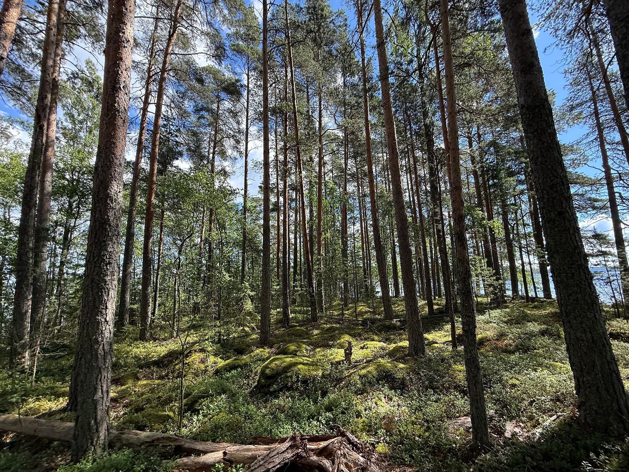 Image 8/31