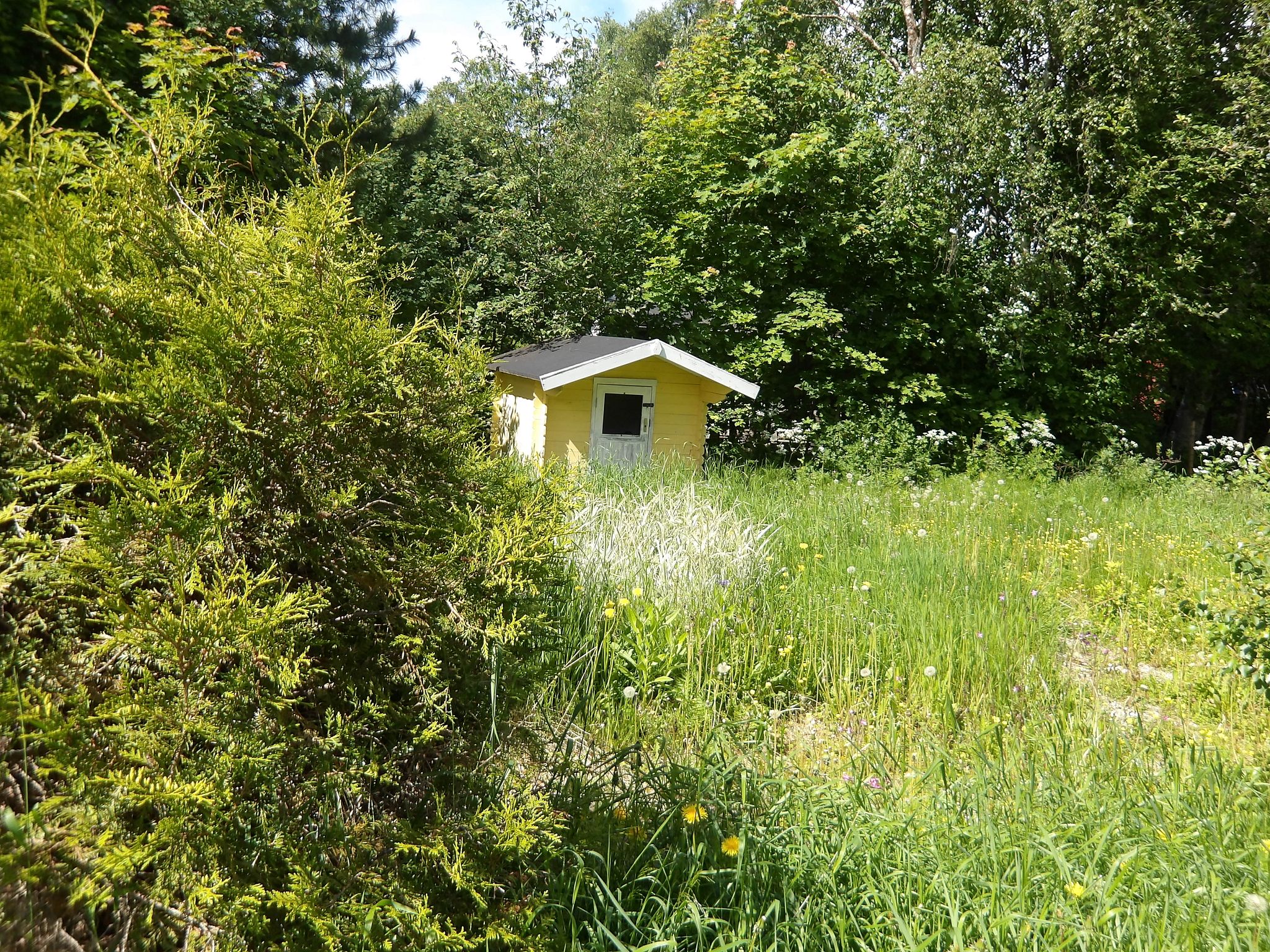 Image 31/31
