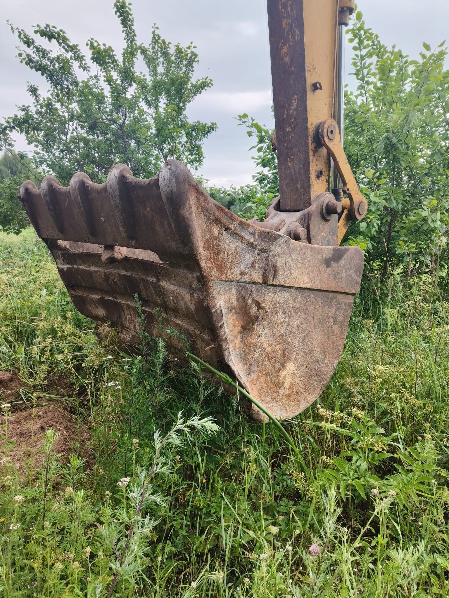 Image 11/13