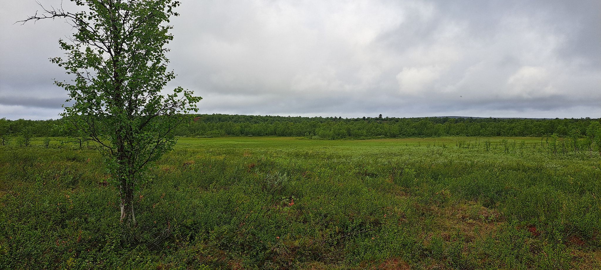 Image 11/18