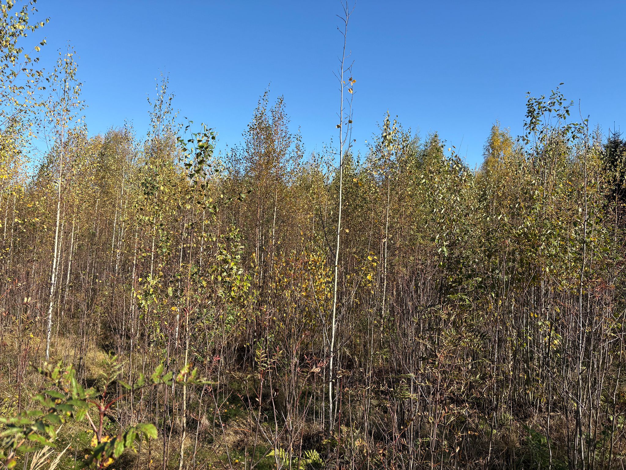 Image 8/30