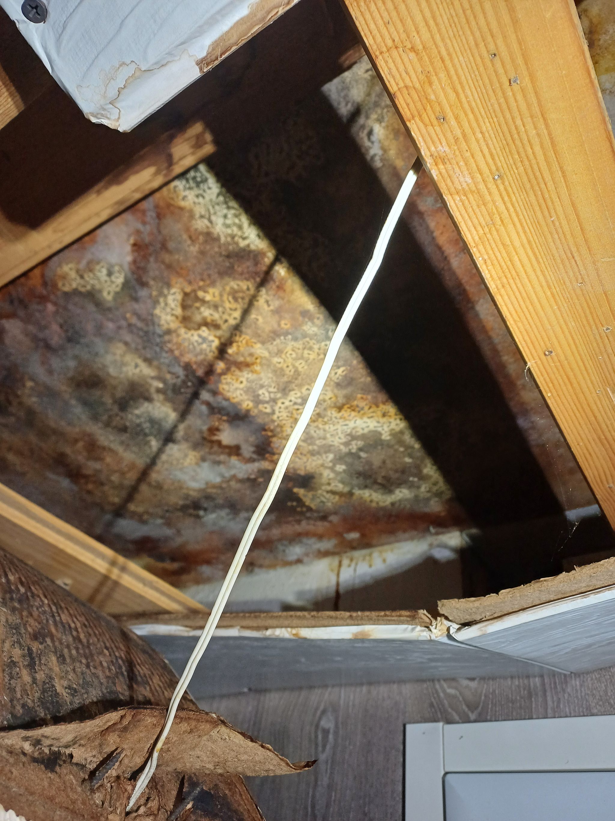 Image 10/22