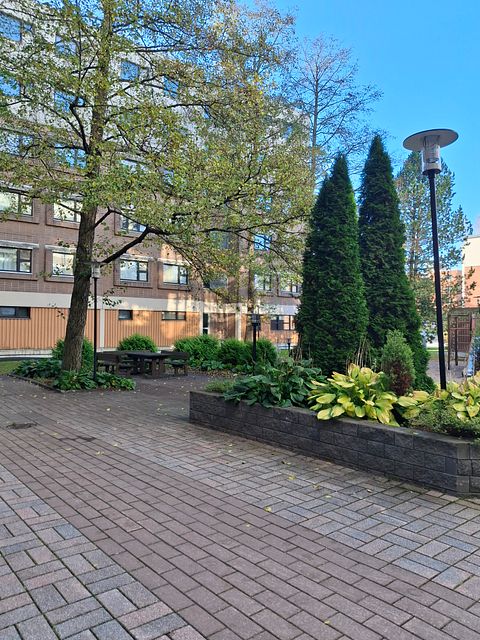 Image 4/16