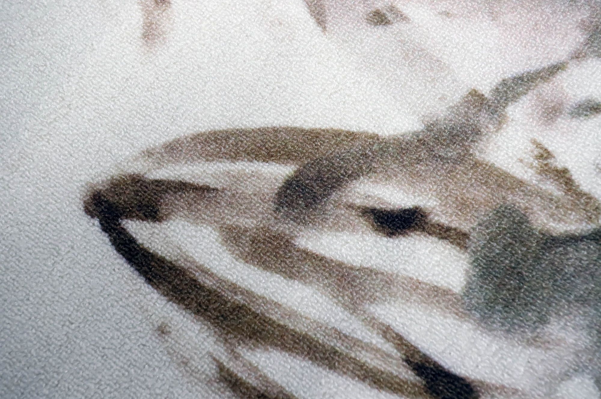 Image 4/9