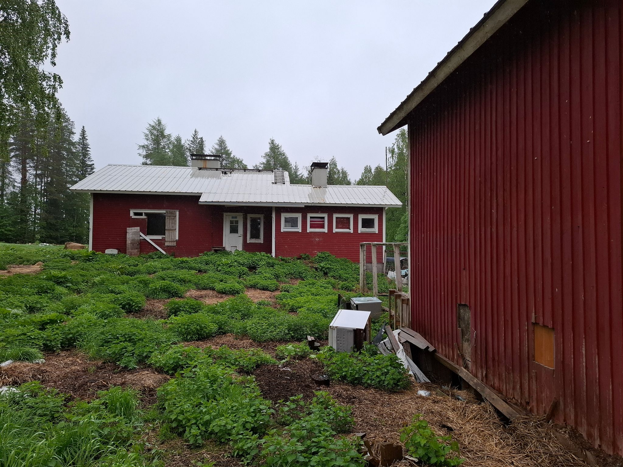 Image 9/40