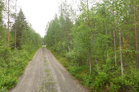 Image 18/21
