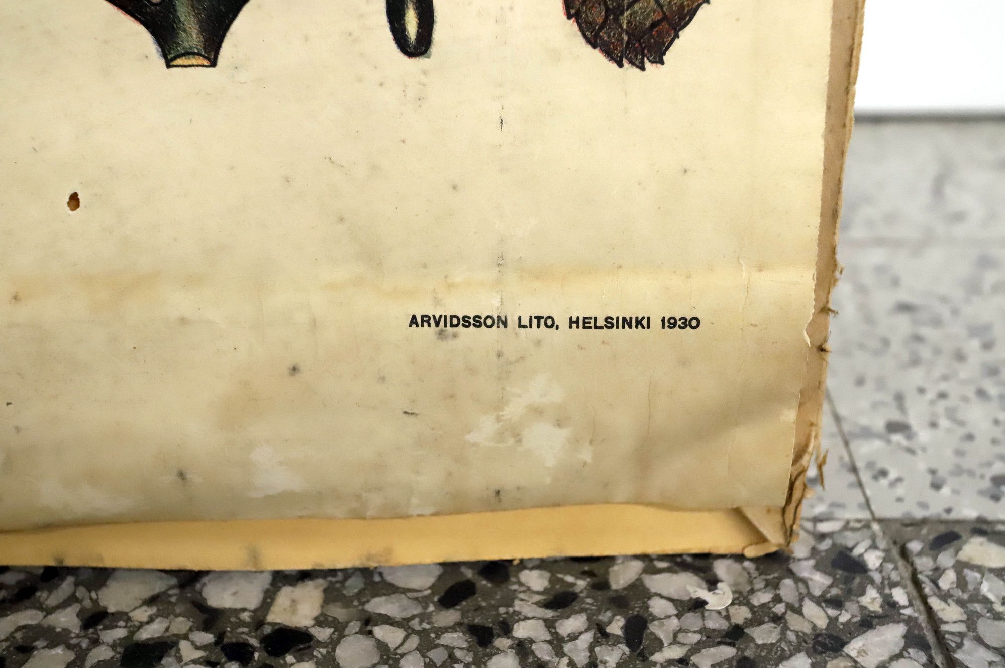 Kuva 8/24