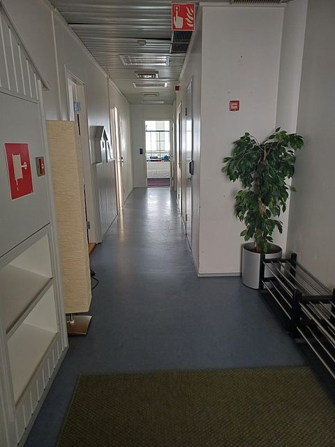 Image 3/11